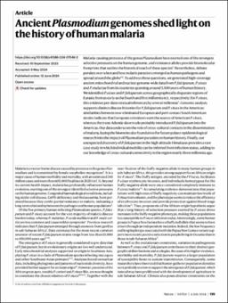 Ancient Plasmodium genomes shed light on the history of human malaria